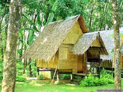 House on Bamboo Stilts